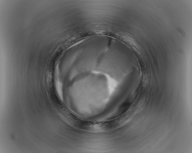 X0000113300365200910051047
