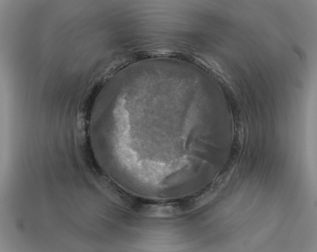 X0000113300366200910051047