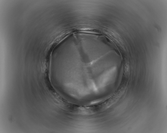 X0000113300367200910051047