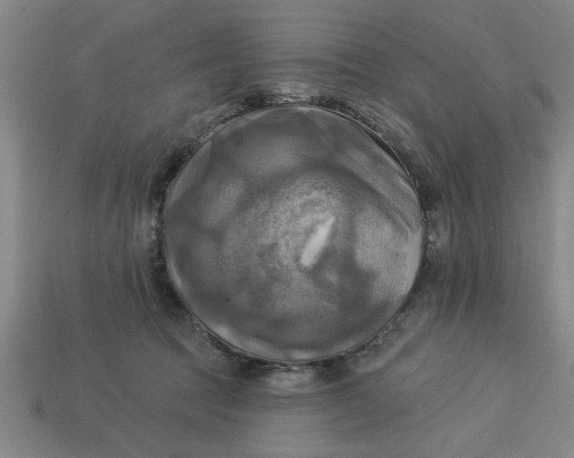 X0000113300369200910051047