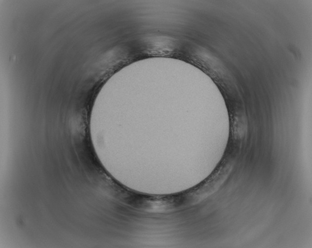 X0000113300370200910051047