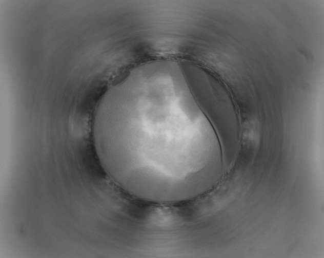 X0000113300372200910051047