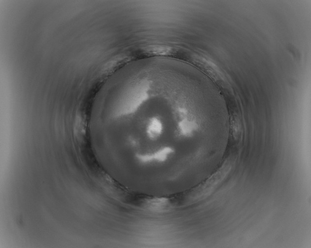 X0000113300374200910051047