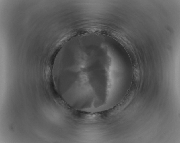 X0000113300375200910051047