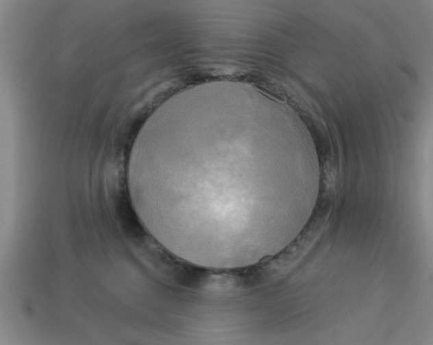 X0000113300376200910051047