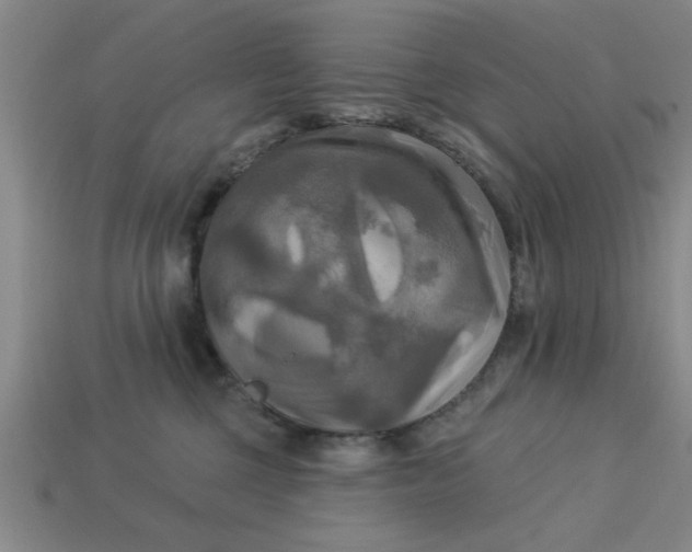 X0000113300377200910051047