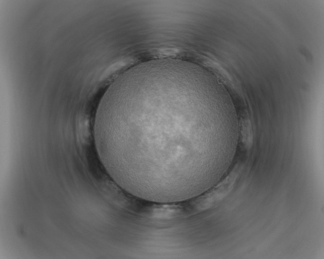 X0000113300378200910051047