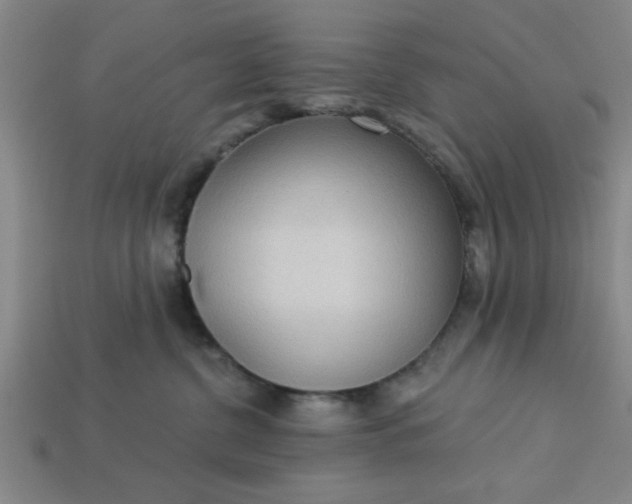 X0000113300380200910051047