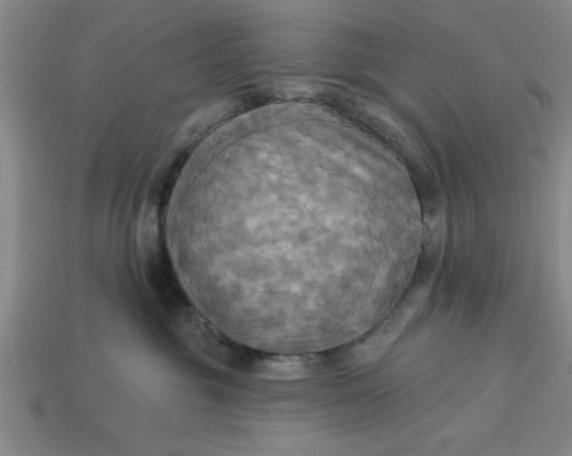 X0000113300381200910051047