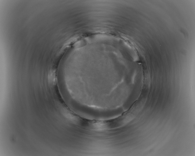 X0000113300383200910051047