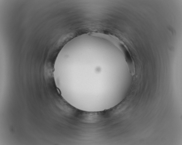X0000113300384200910051047