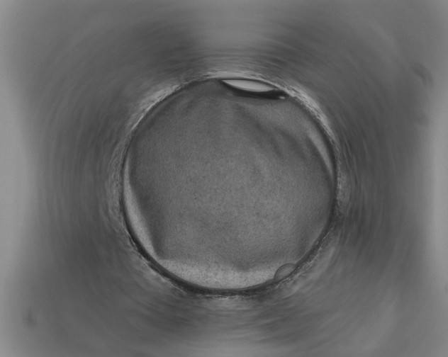 X0000113300385200910051047
