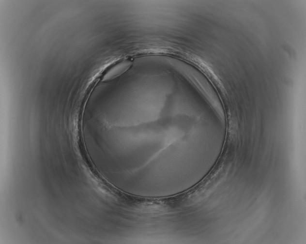 X0000113300386200910051047