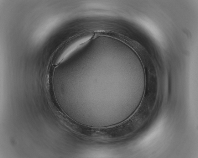 X0000113300387200910051047