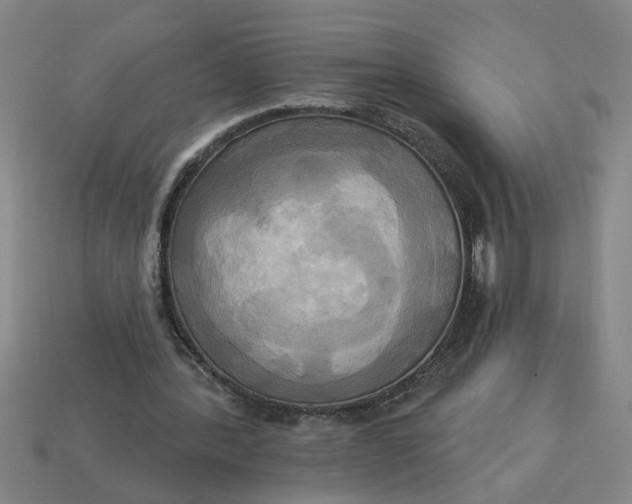 X0000113300388200910051047