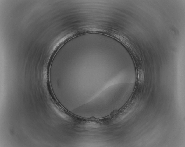 X0000113300390200910051046