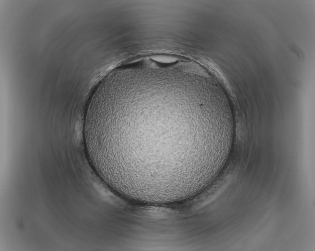 X0000113300393200910051046