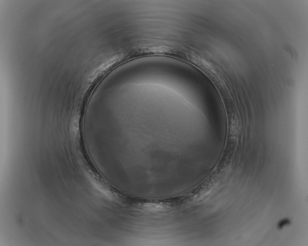 X0000113300394200910051046