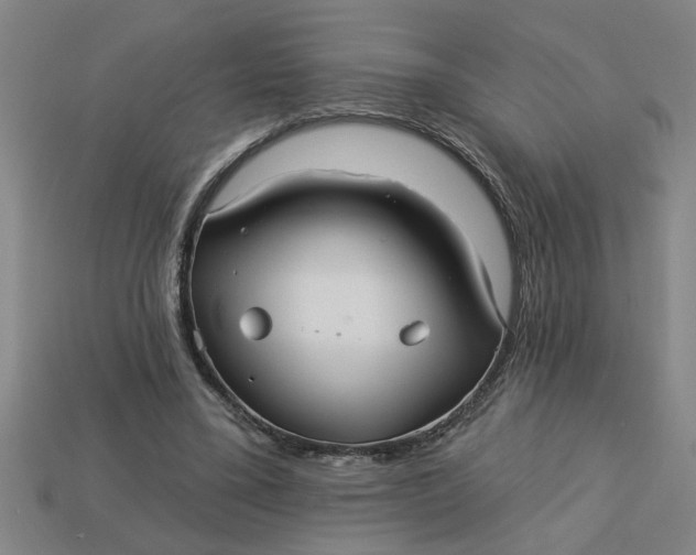 X0000113300395200910051046
