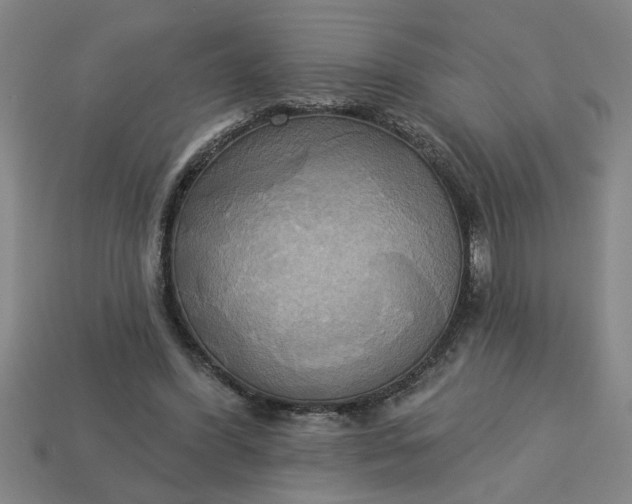 X0000113300396200910051046
