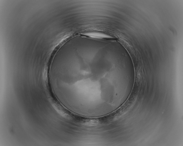 X0000113300398200910051046