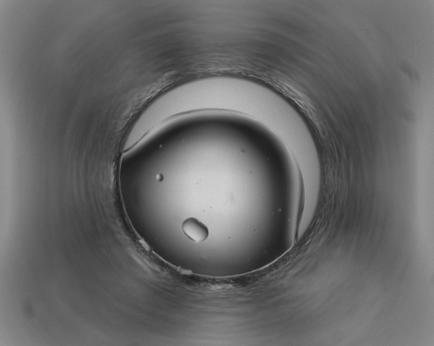 X0000113300401200910051046