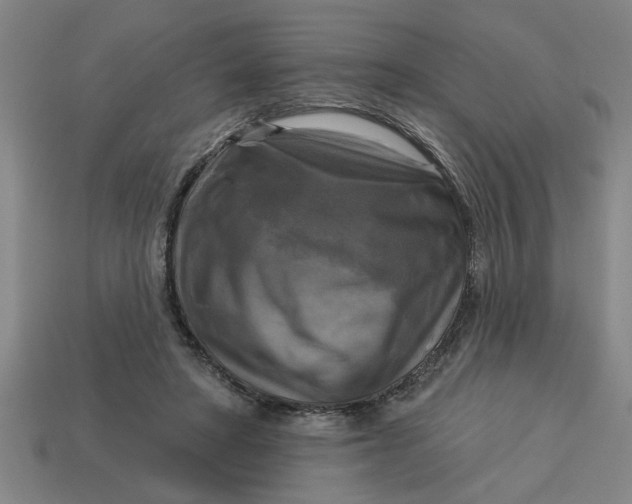 X0000113300402200910051046