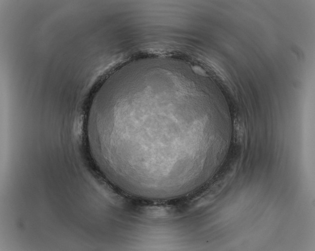 X0000113300404200910051046