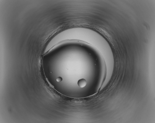 X0000113300405200910051046