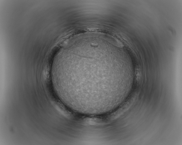 X0000113300408200910051046