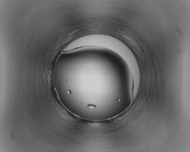 X0000113300409200910051046