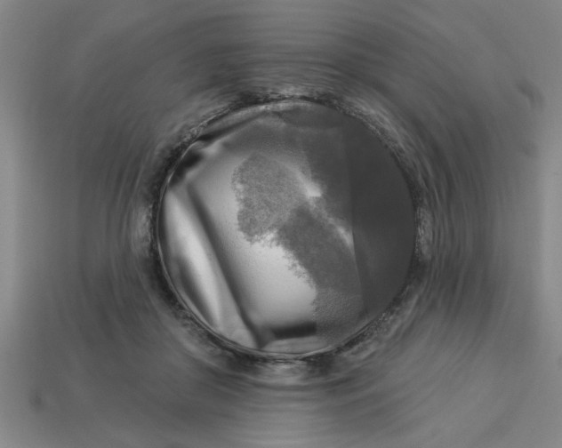 X0000113300410200910051046
