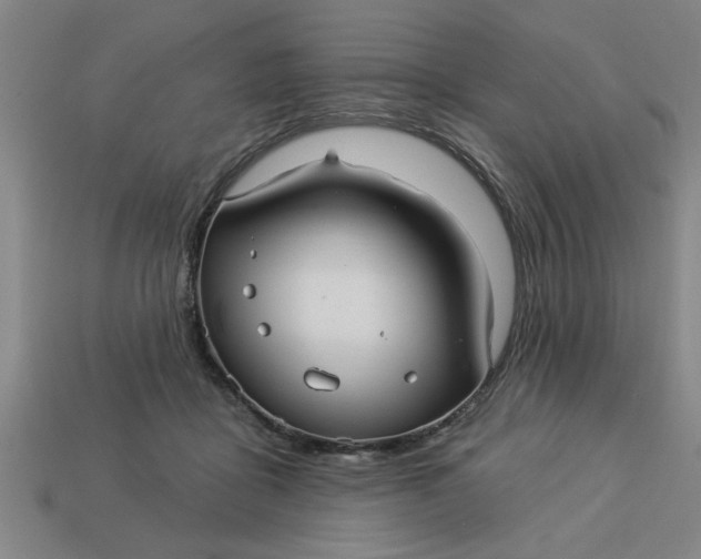 X0000113300411200910051046