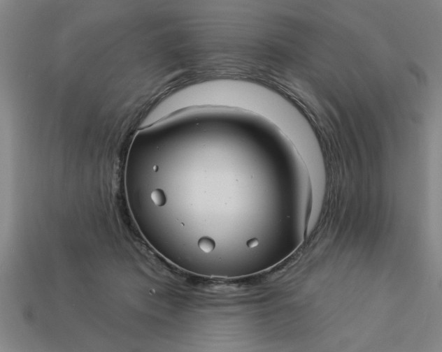 X0000113300413200910051046