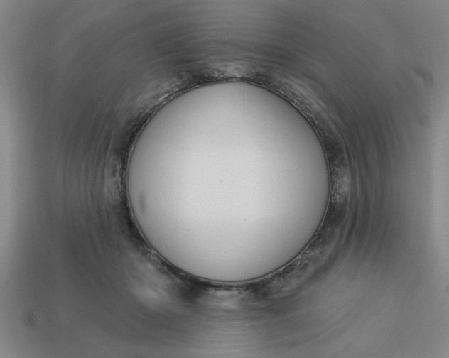 X0000113300414200910051046
