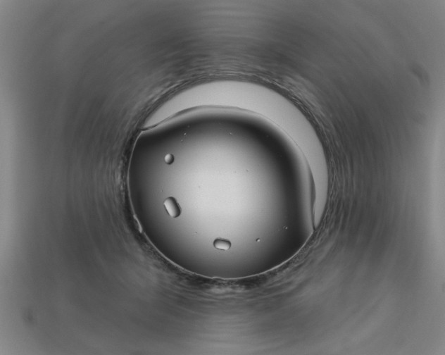 X0000113300415200910051046