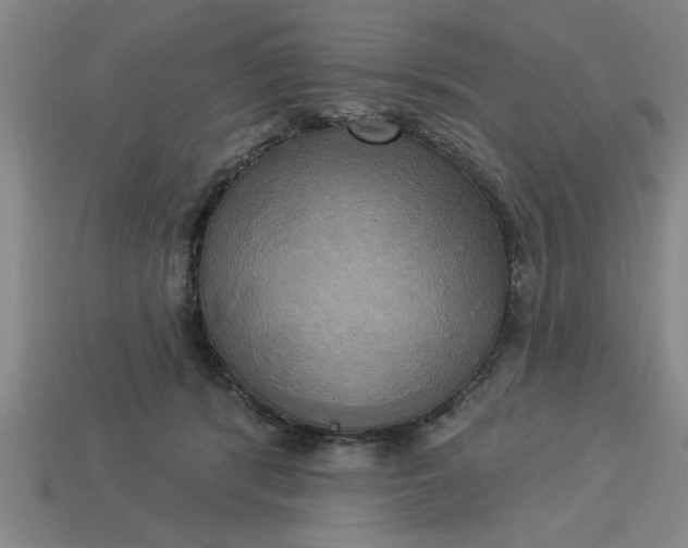 X0000113300416200910051046