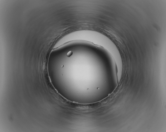 X0000113300417200910051046