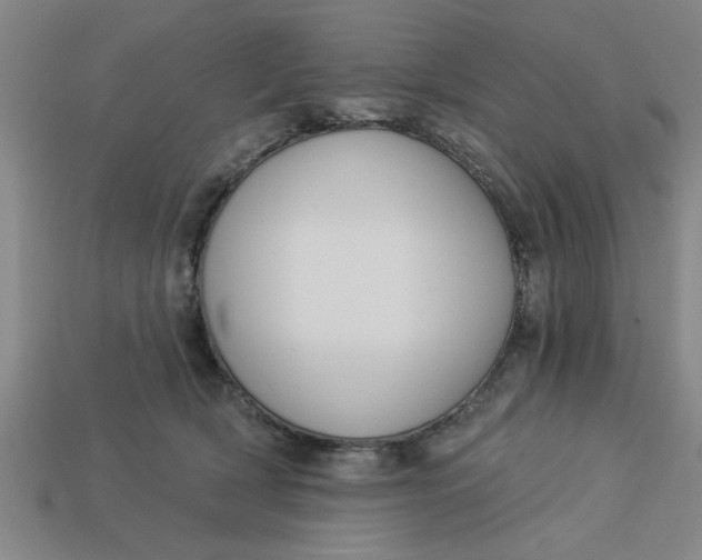X0000113300418200910051046