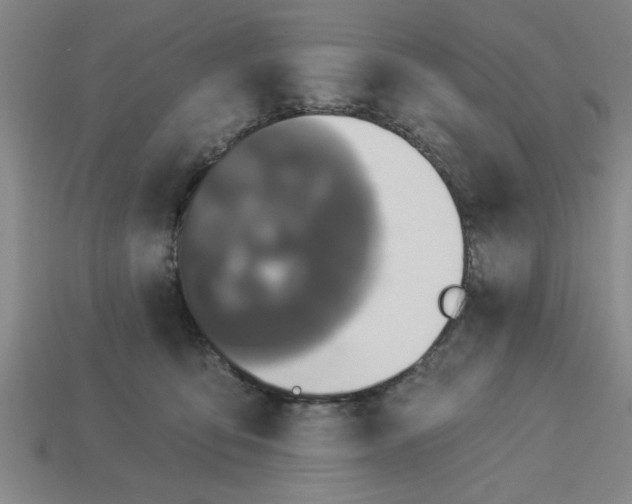 X0000113300419200910051046