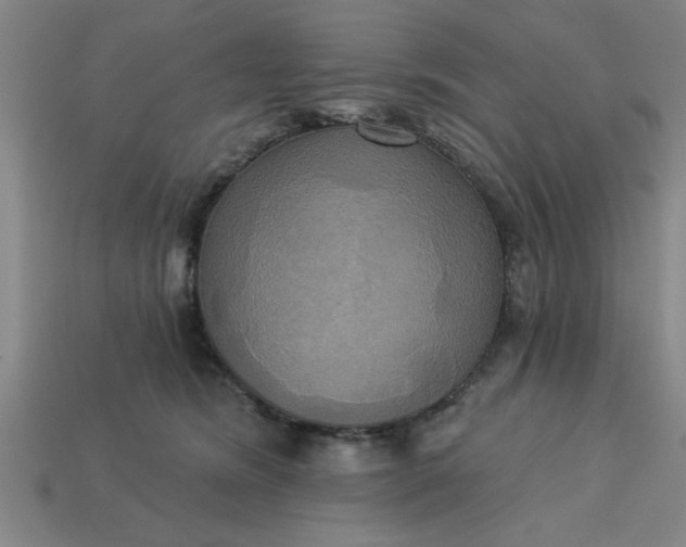 X0000113300420200910051046