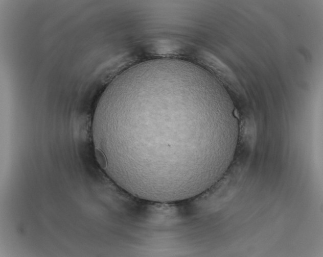 X0000113300421200910051046