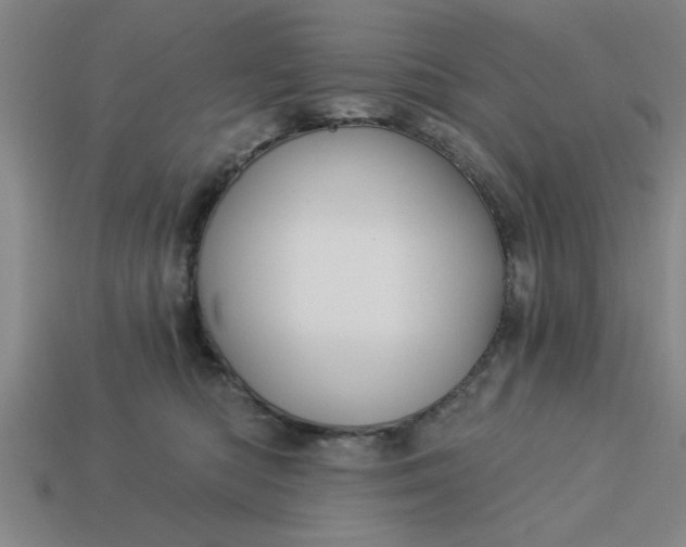 X0000113300422200910051046