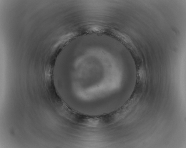 X0000113300423200910051046