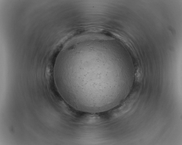 X0000113300424200910051046