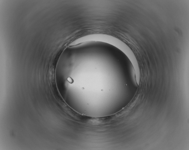 X0000113300425200910051046