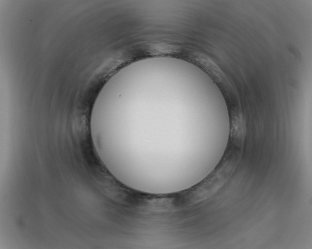 X0000113300426200910051046