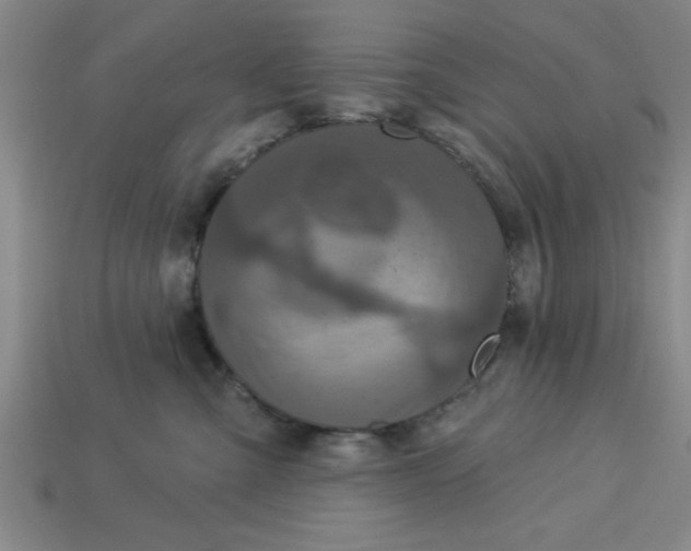 X0000113300427200910051046