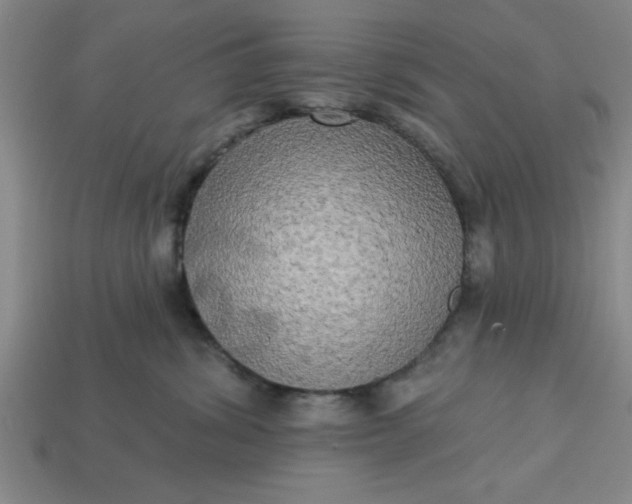 X0000113300428200910051046