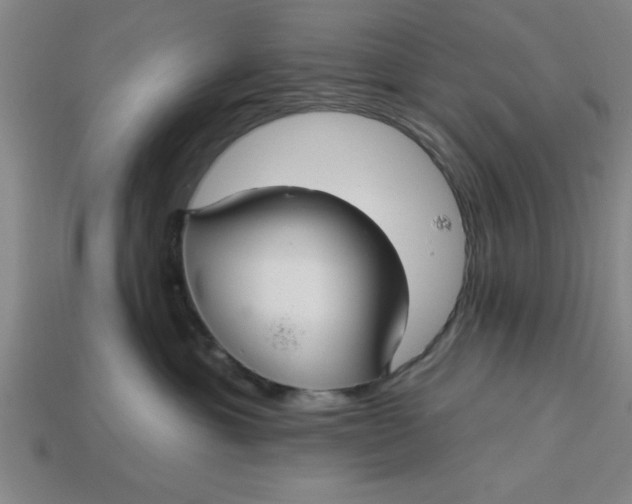 X0000113300429200910051046